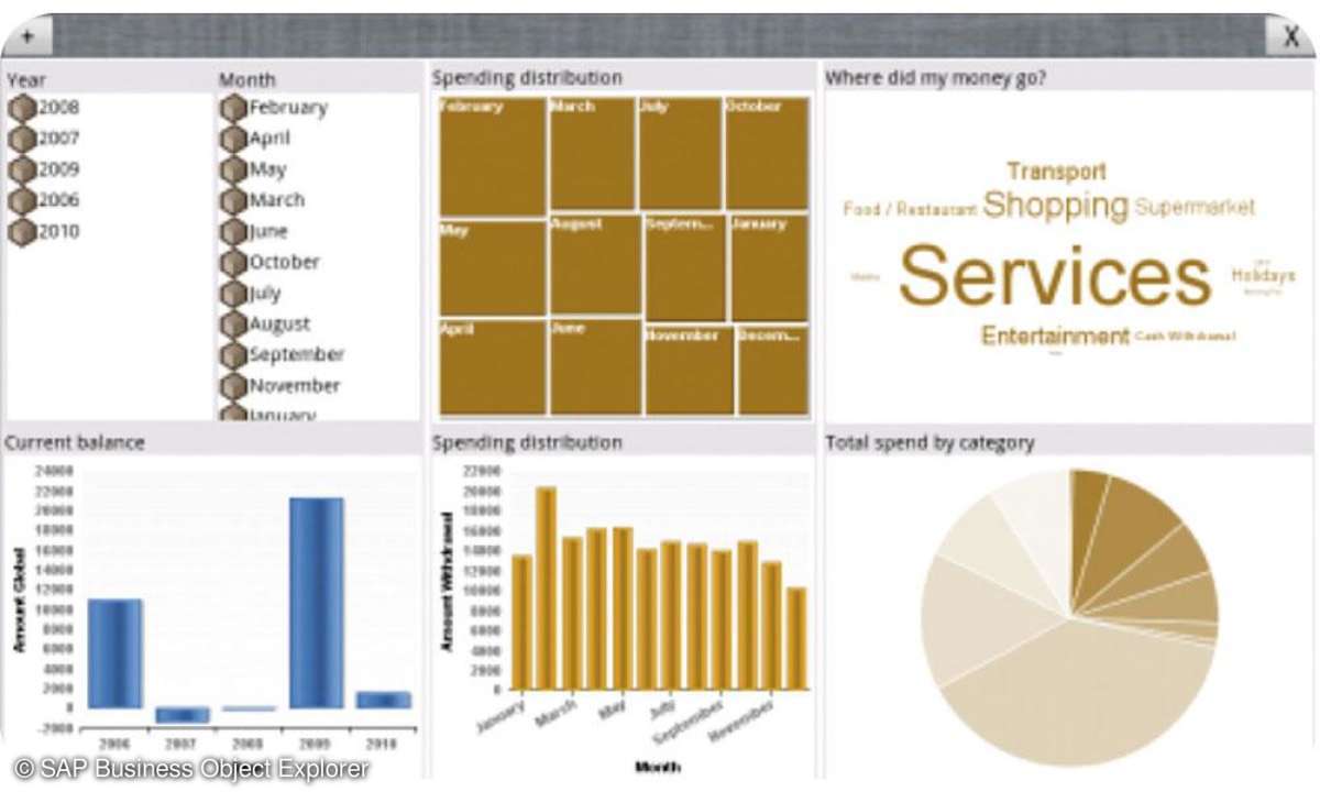 SAP Business Object Explorer