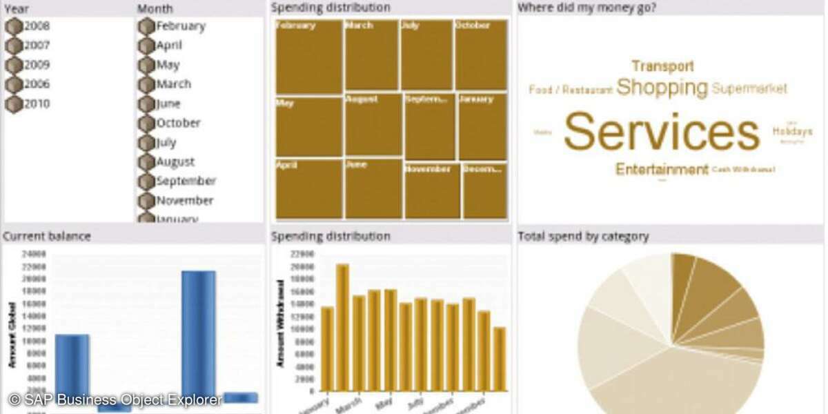 SAP Business Object Explorer