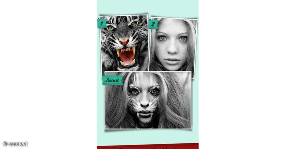 PHOTOBLEND PRO