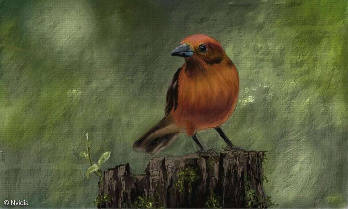 Nvidia, NVIDIA Dabbler Painting, Zeichnen