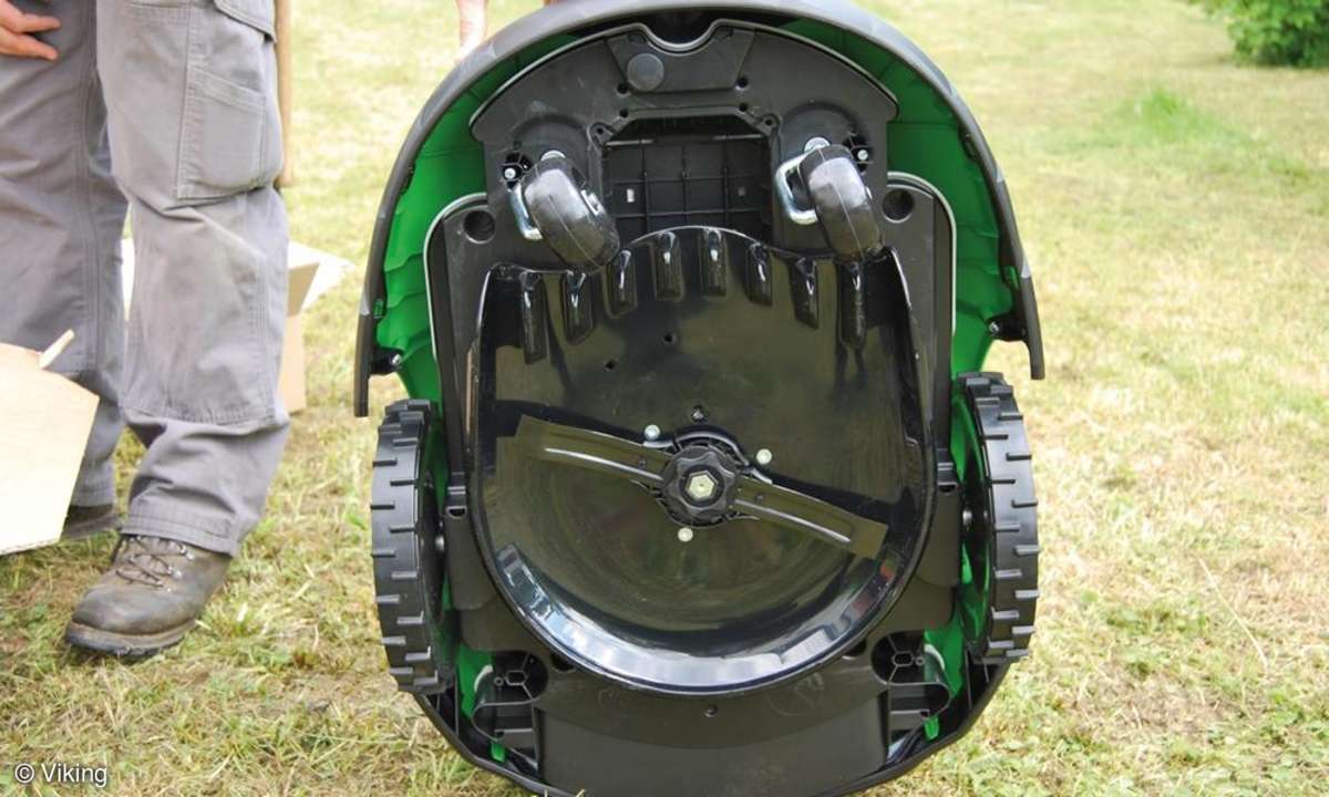 Viking
