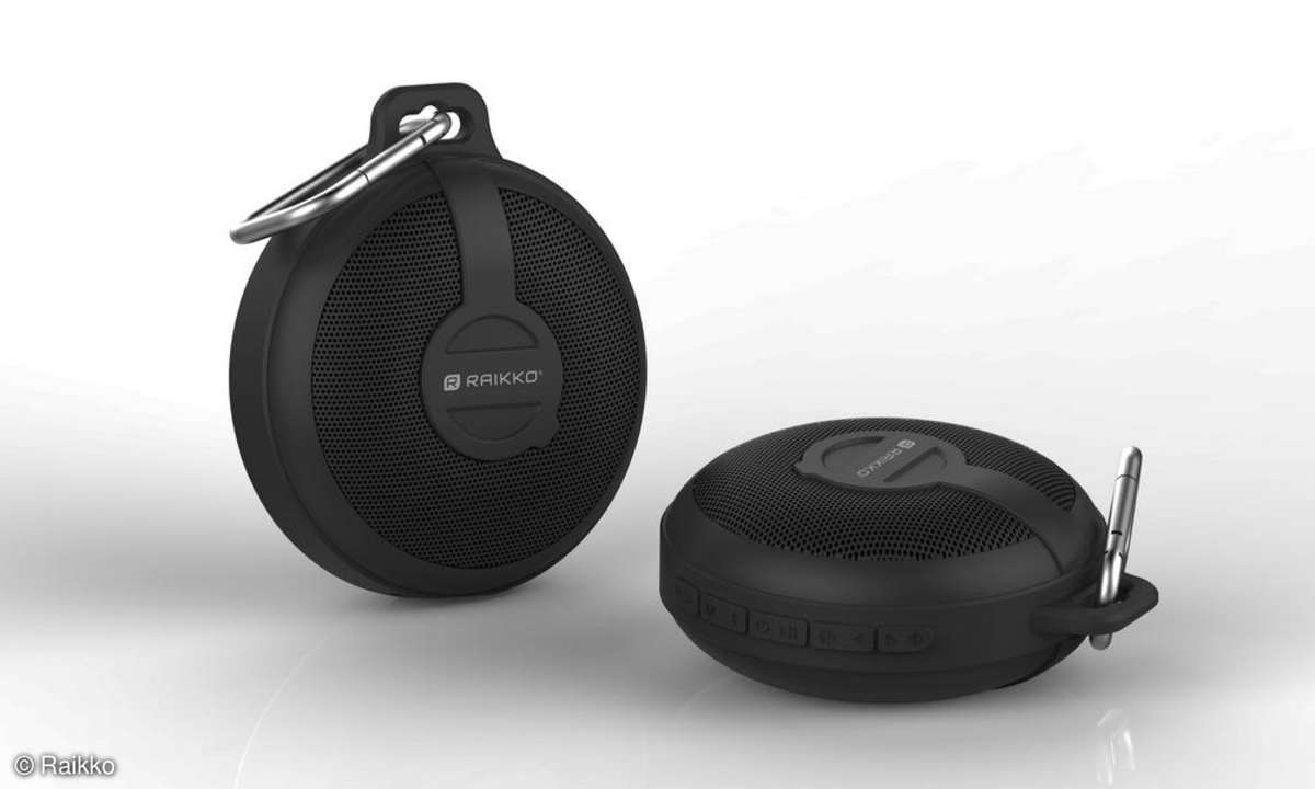 Raikko Bass Disc