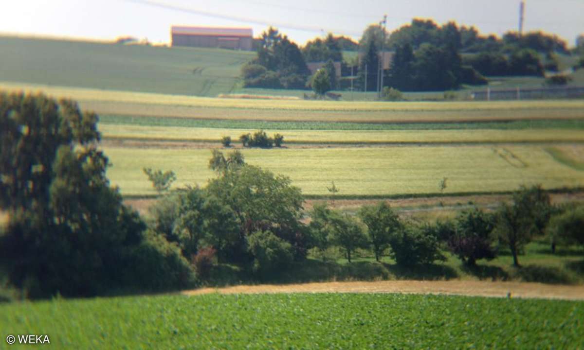 Rollei Tele