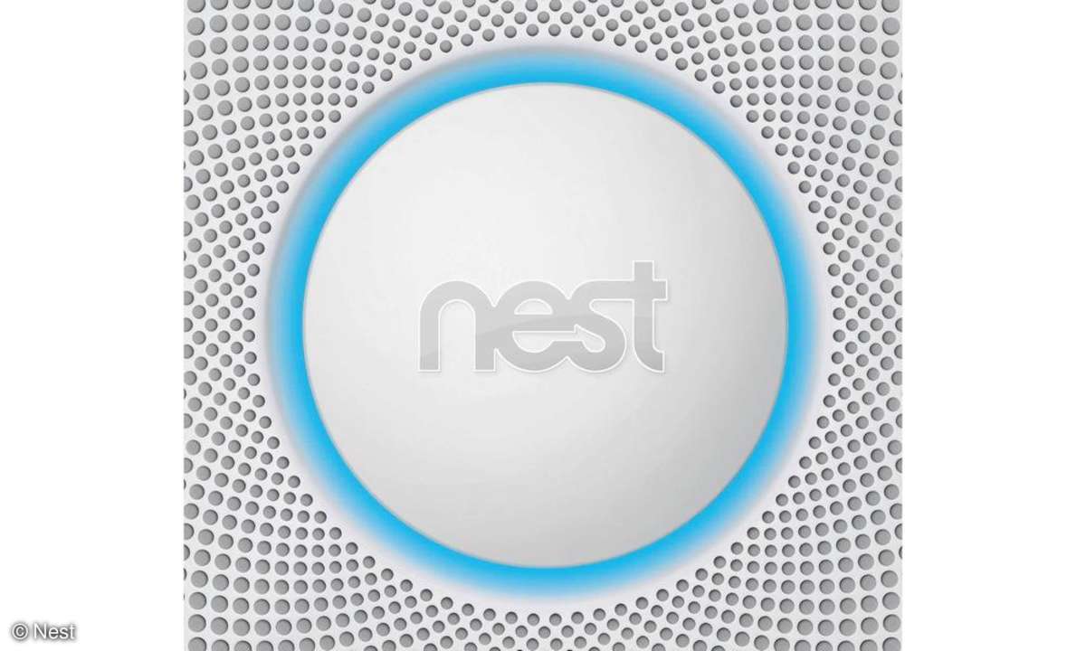 Nest
