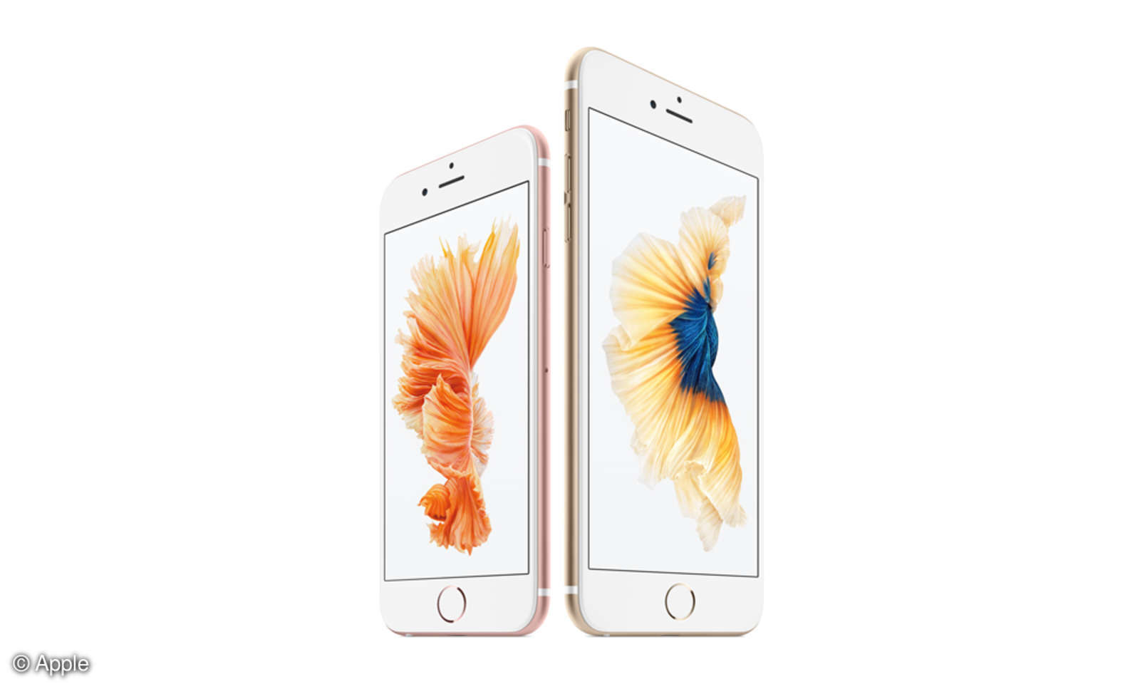 iPhone Wie lange gibt es Updates von Apple? connect