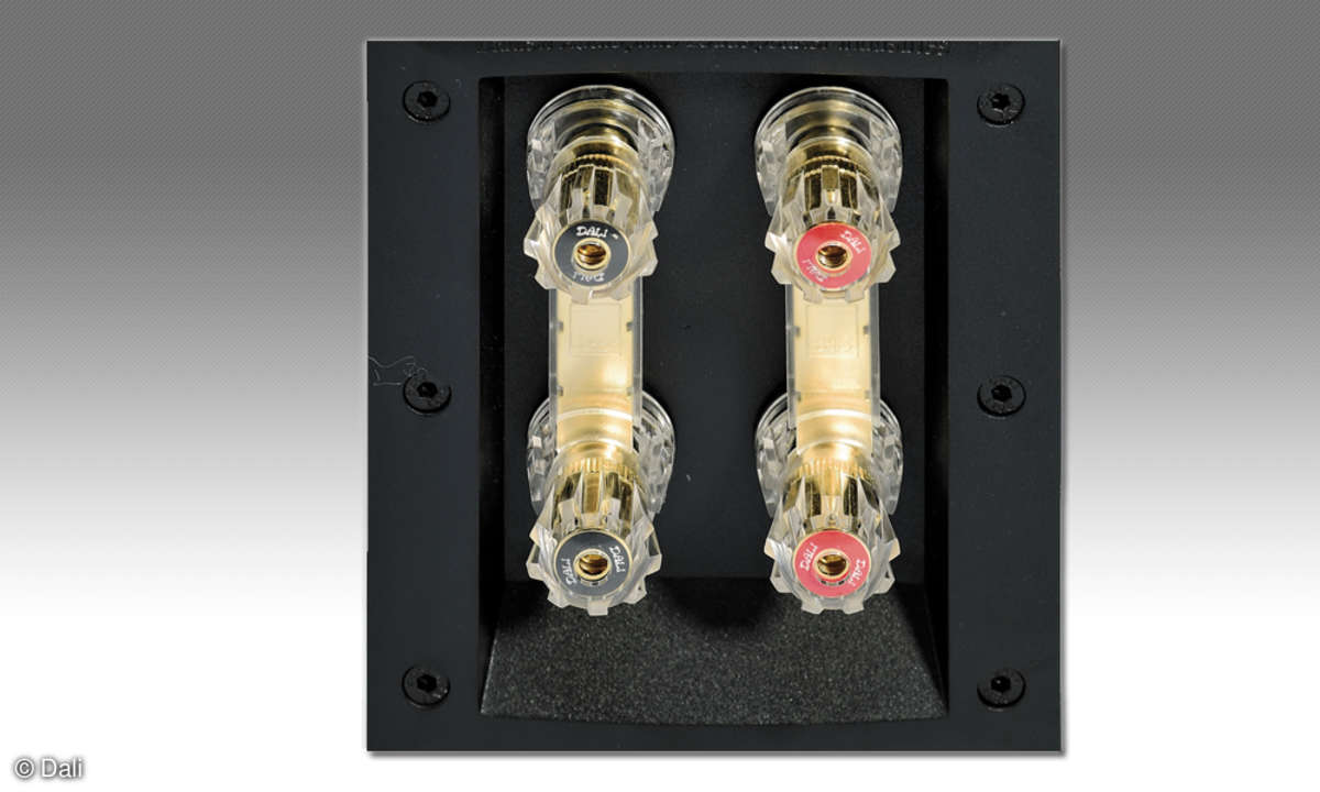 Dali Opticon 6 Bi-Wiring-Terminal