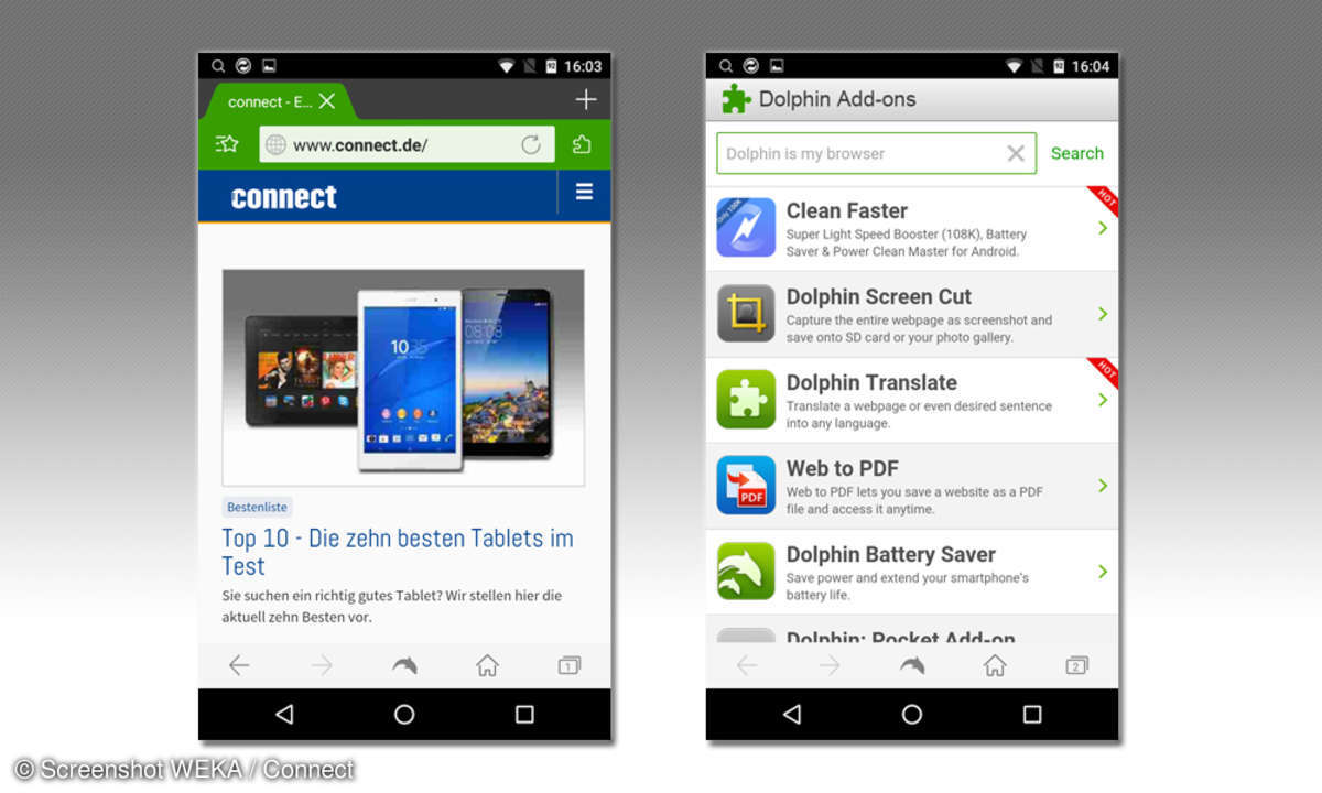 Dolphin Browser
