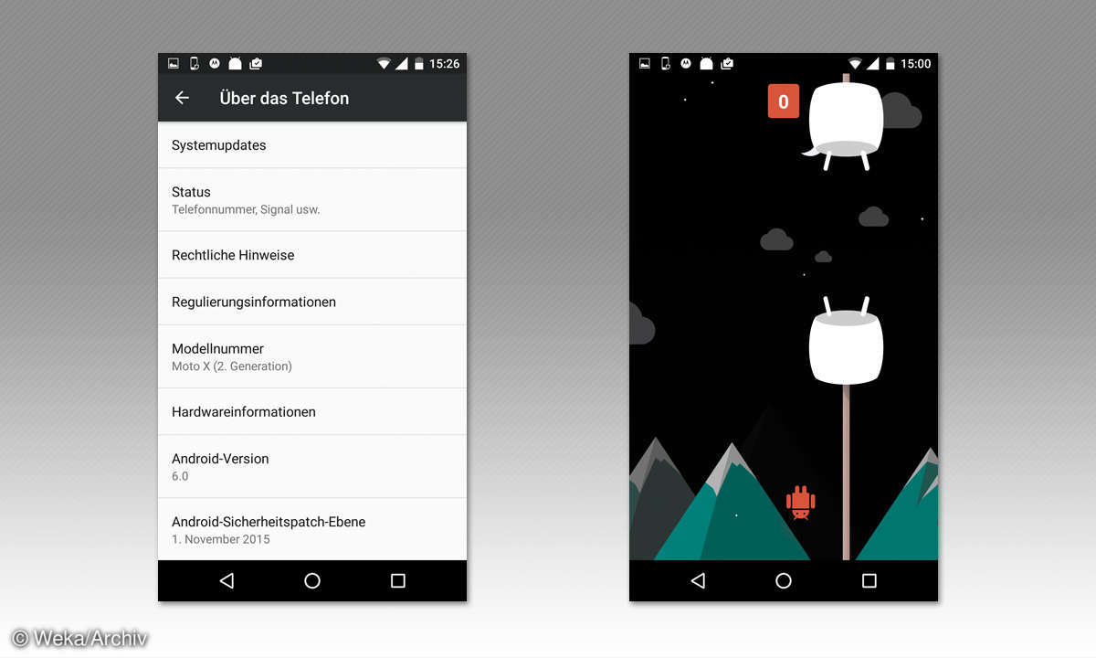 Screenshot: Flappy Bird spielen