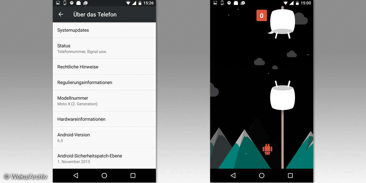Screenshot: Flappy Bird spielen