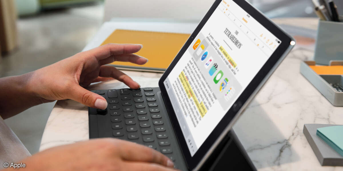 iPad Pro - 9,7 Zoll
