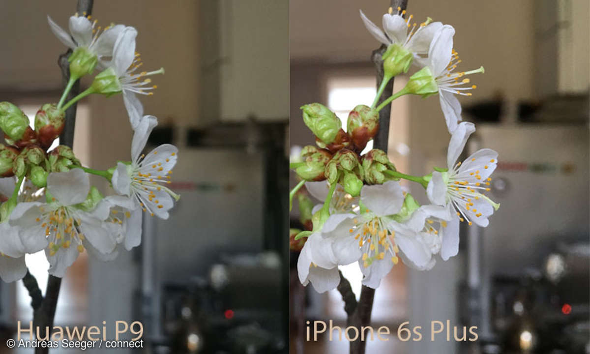 Huawei P9 und iPhone 6s Plus Nahaufnahme