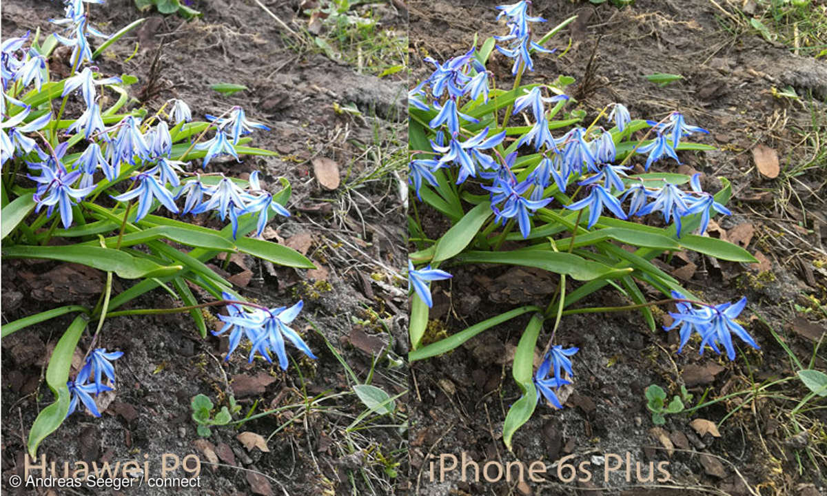 Huawei P9 und iPhone 6s Plus Lichtverhältnis