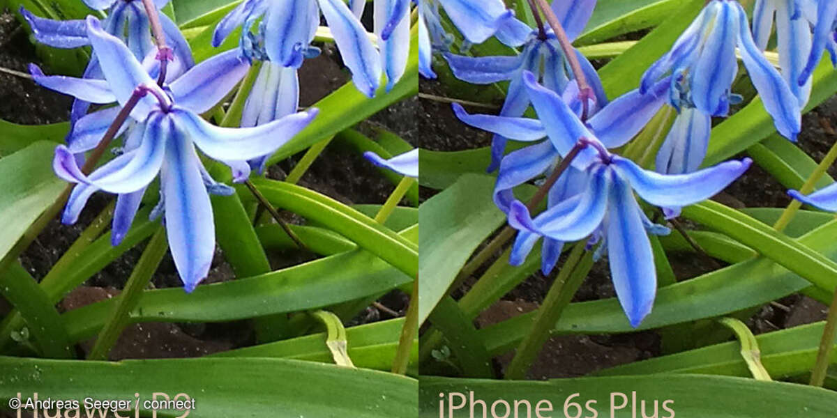 Huawei P9 und iPhone 6s Plus Lichtverhältnis