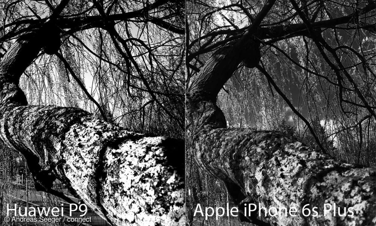 Huawei P9 vs. iPhone 6s: Schwarzweiß-Aufnahme
