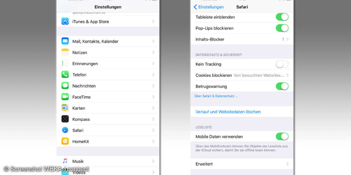Safari Einstellungen