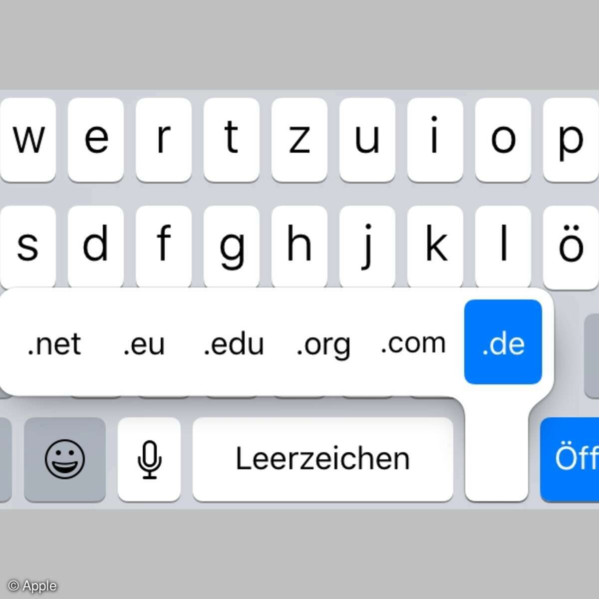 iPhone iPad URL Webadresse Webseite eingeben trick tipp domains