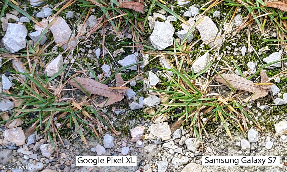 Kameravergleich: Google Pixel XL vs. Samsung Galaxy S7