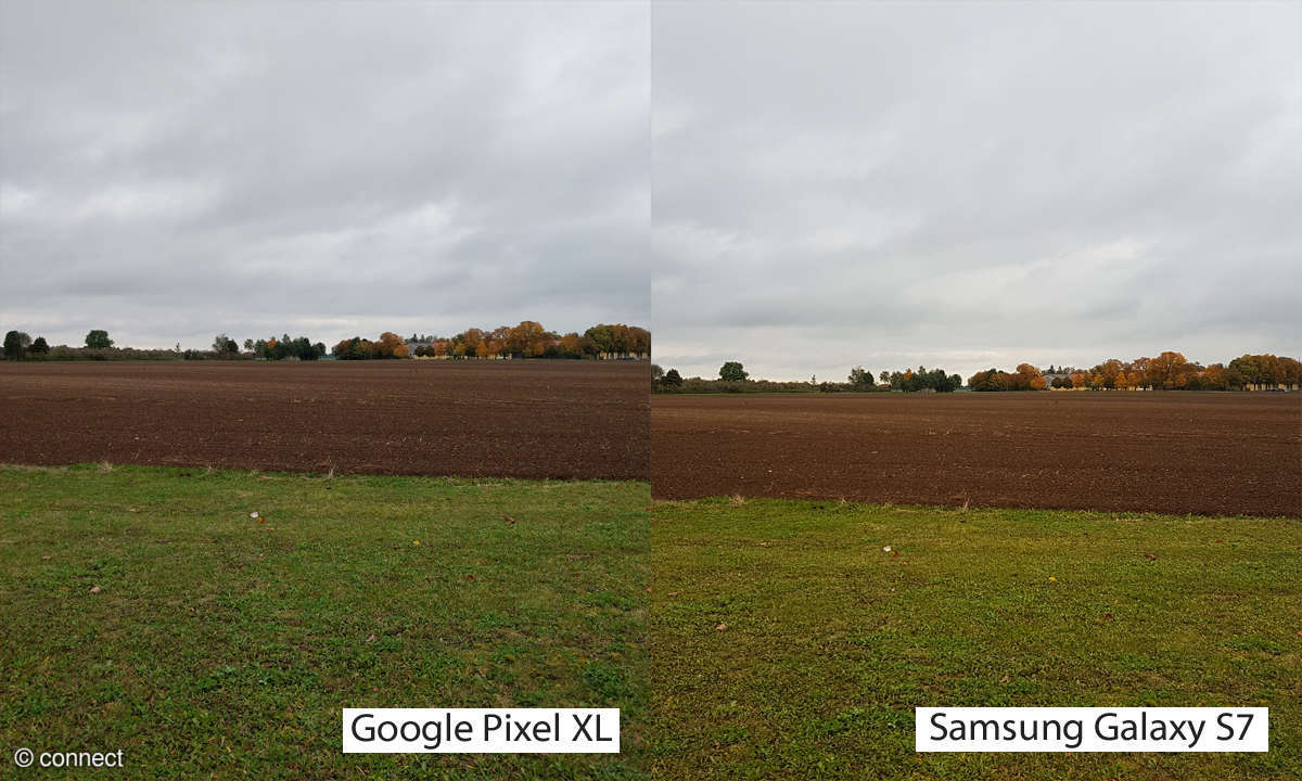 Kameravergleich: Google Pixel XL vs. Samsung Galaxy S7