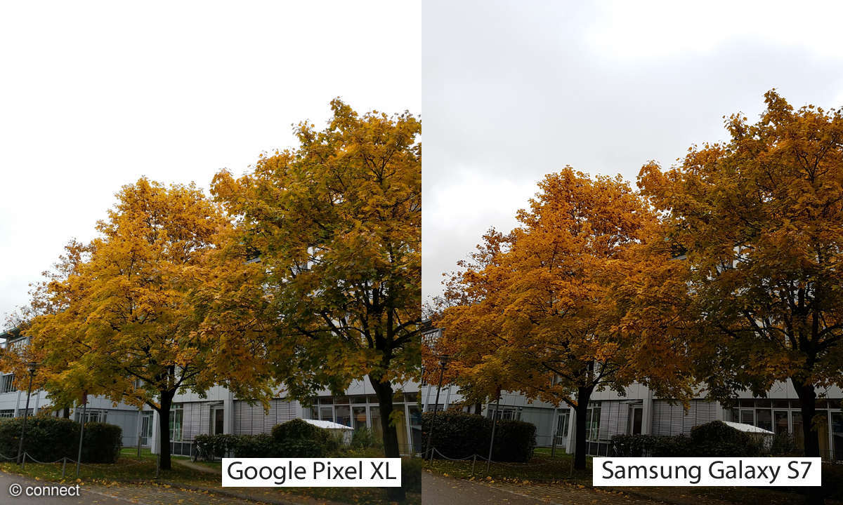Kameravergleich: Google Pixel XL vs. Samsung Galaxy S7