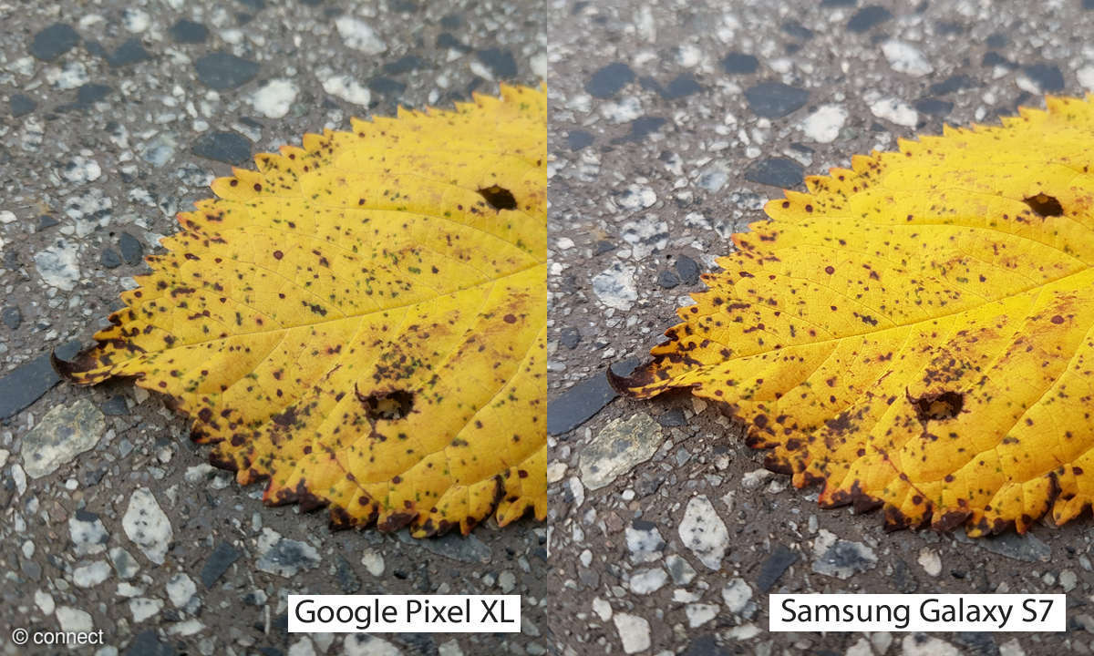 Kameravergleich: Google Pixel XL vs. Samsung Galaxy S7