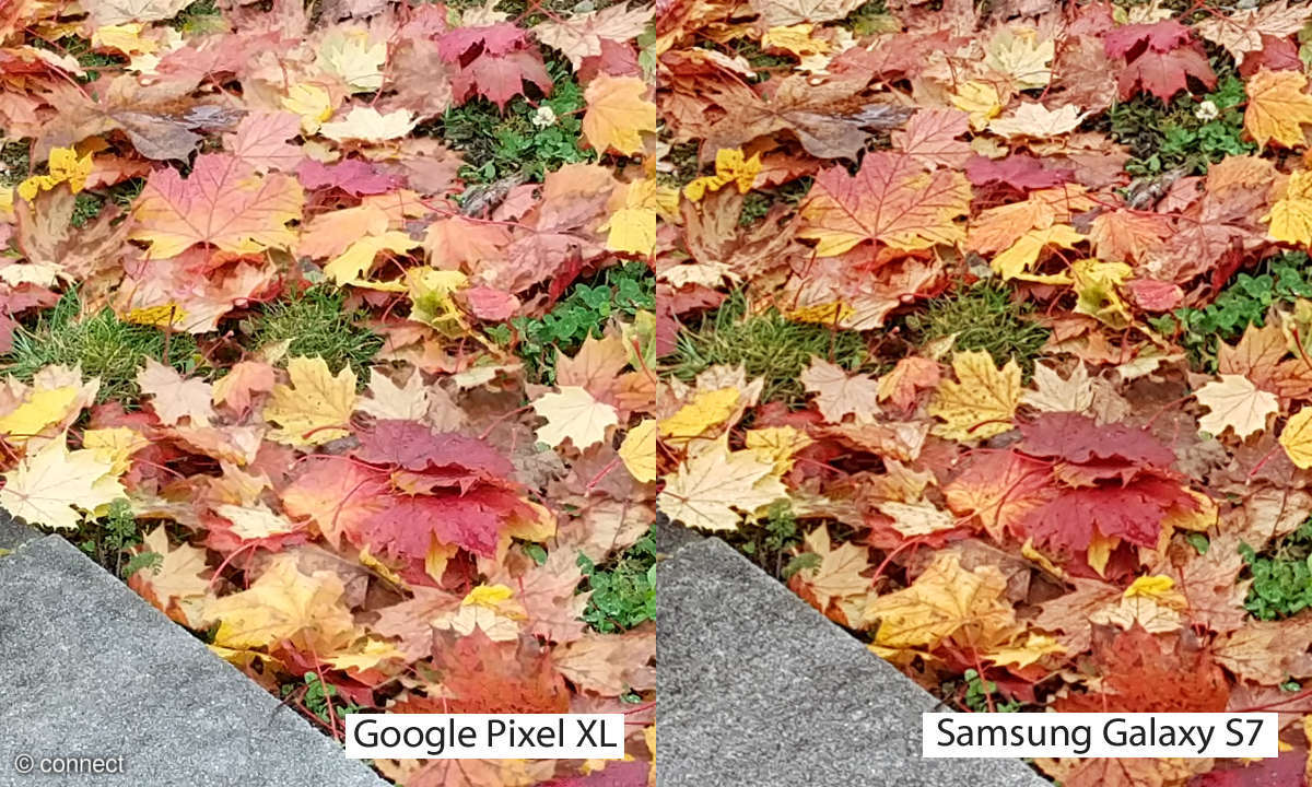 Kameravergleich: Google Pixel XL vs. Samsung Galaxy S7