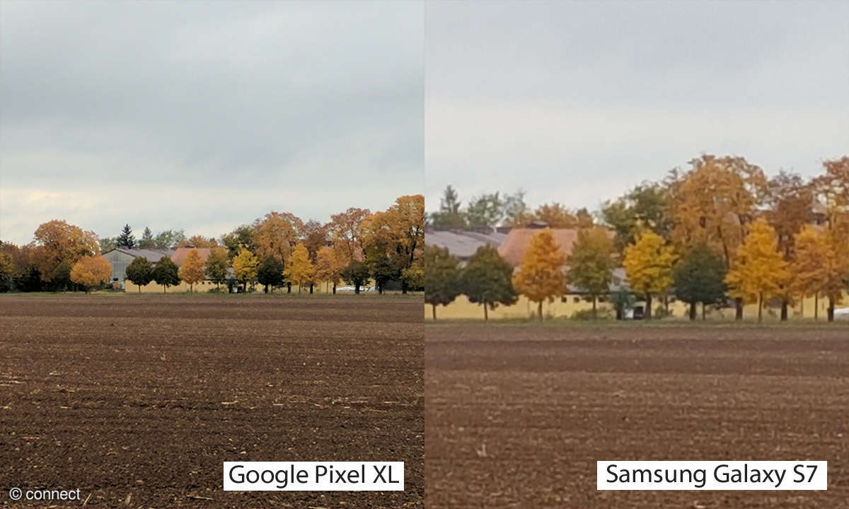 Kameravergleich: Google Pixel XL vs. Samsung Galaxy S7