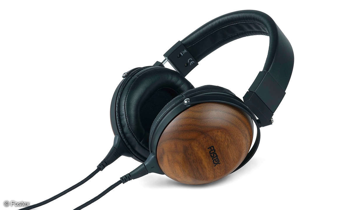 Fostex TH610