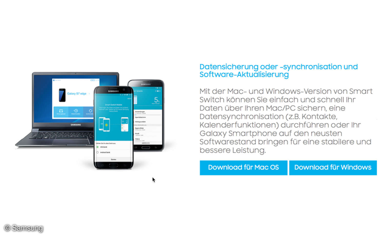 Collect all things spring. visual data 3