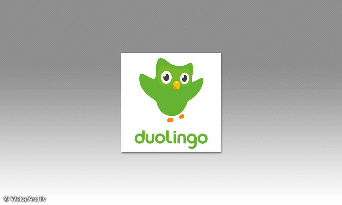 Duolingo Logo