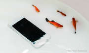 Wasserschaden beim Smartphone
