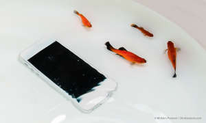 Wasserschaden beim Smartphone