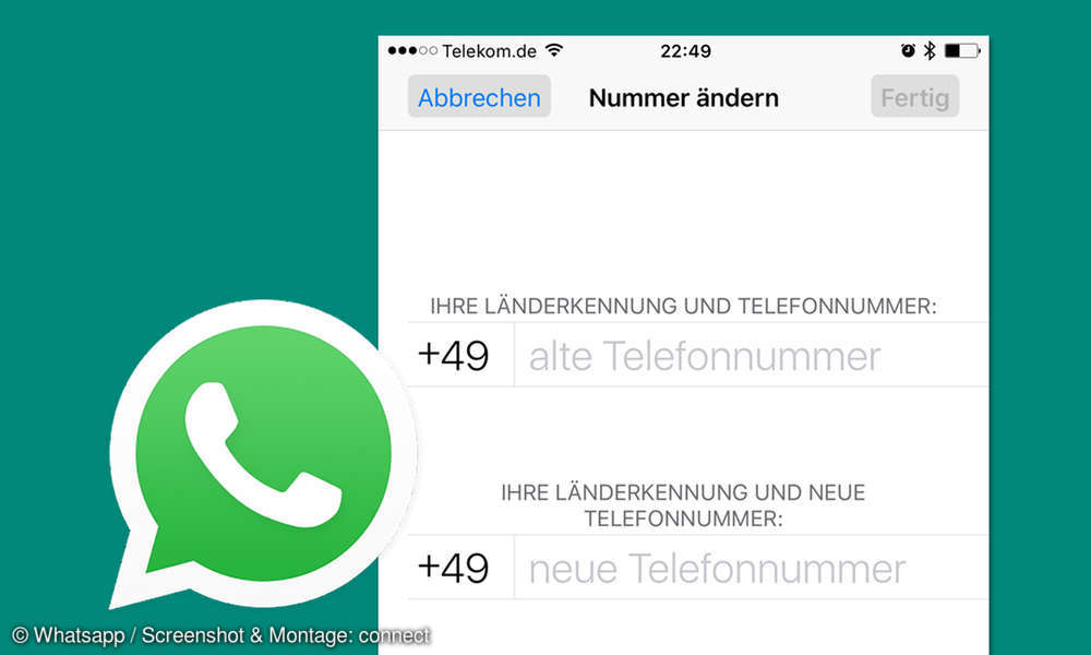 Neue Nummer in Whatsapp Das sollten Sie beachten connect