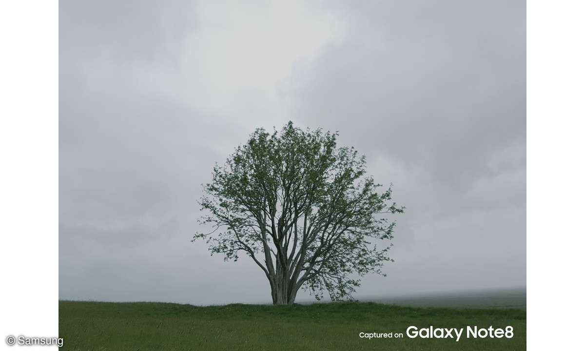 Galaxy Note 8: Sample-Foto