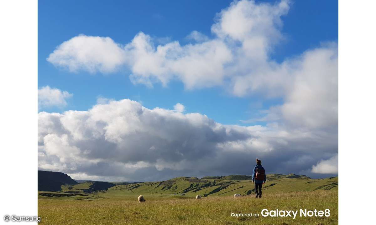 Galaxy Note 8: Sample-Foto