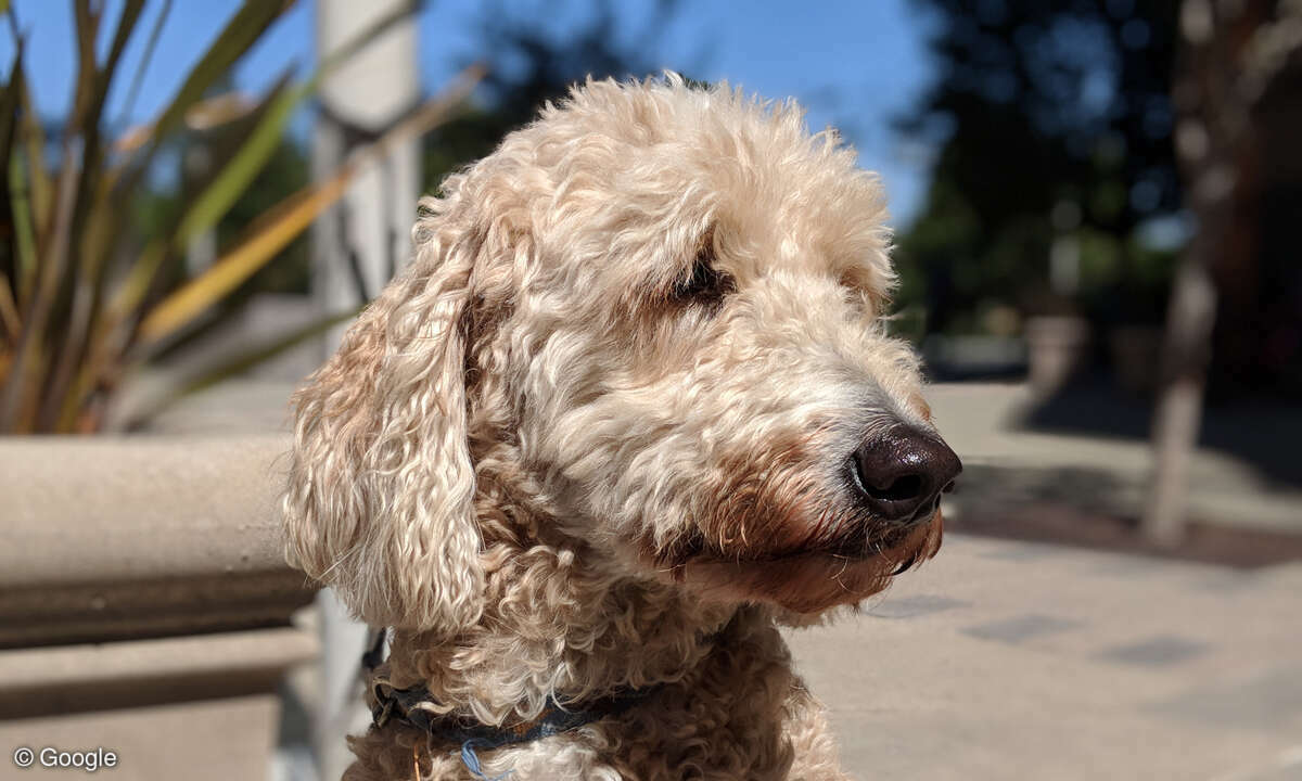Google Pixel 2 Foto Aufmacher