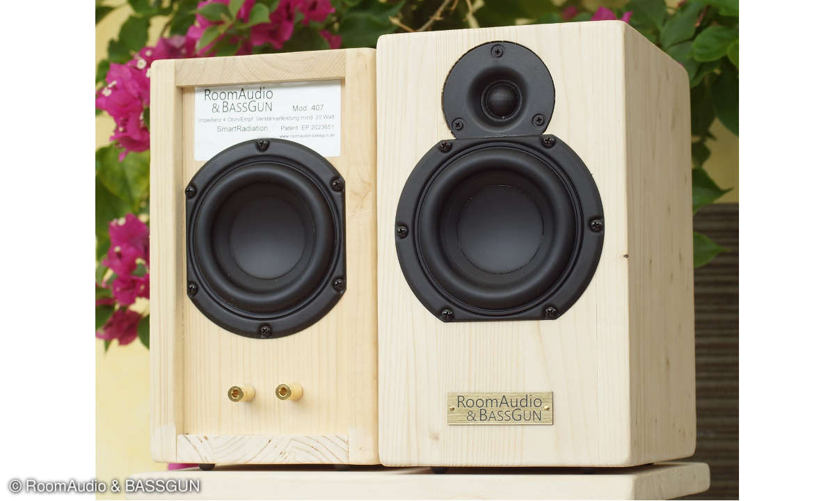 RoomAudio & BASSGUN