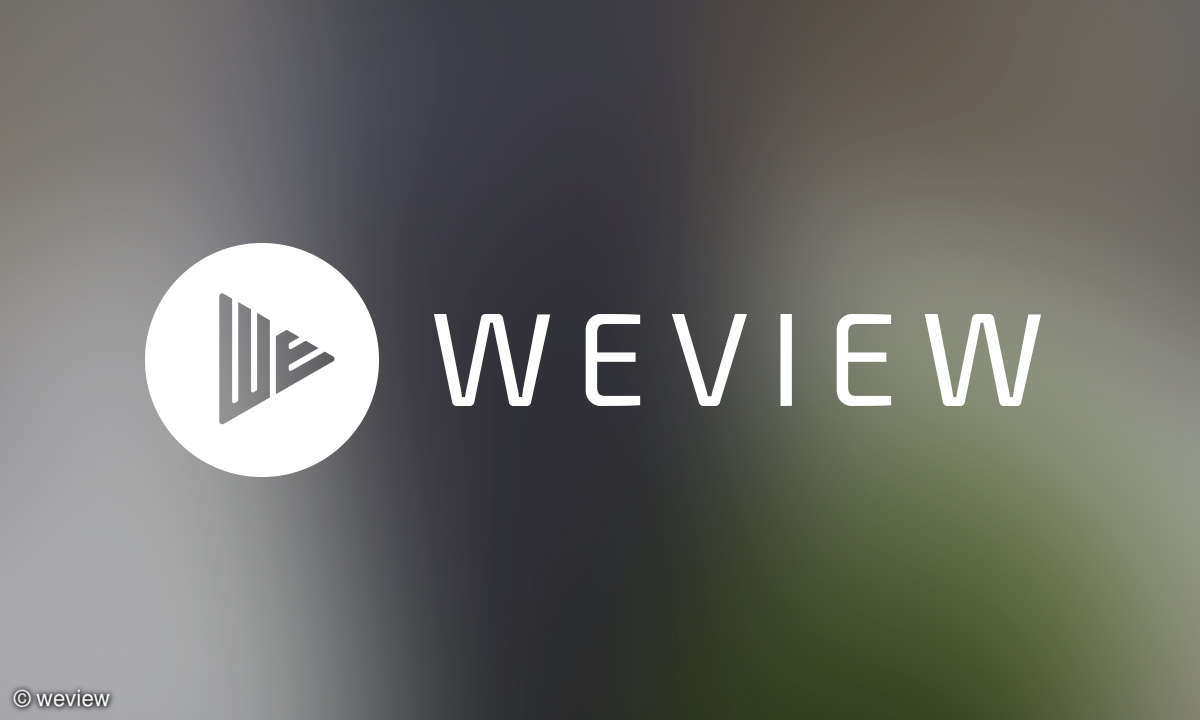 weview Logo 2