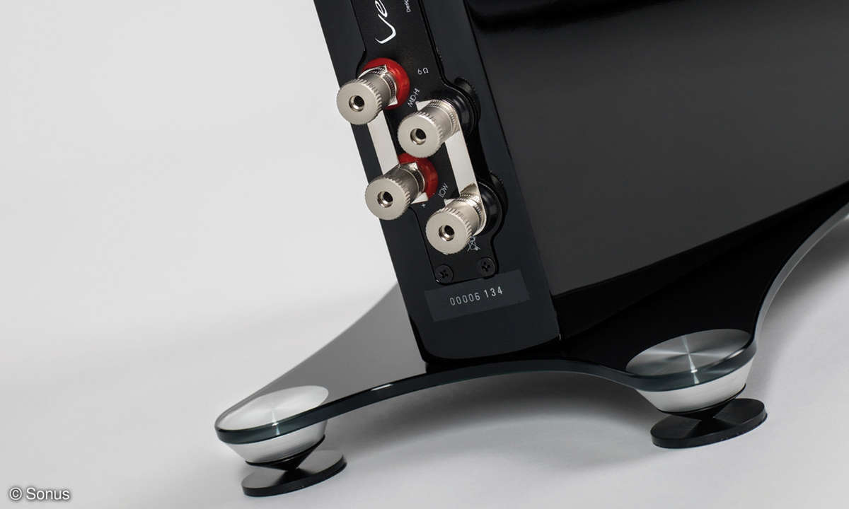 Sonus Faber Venere 3 Anschlüsse