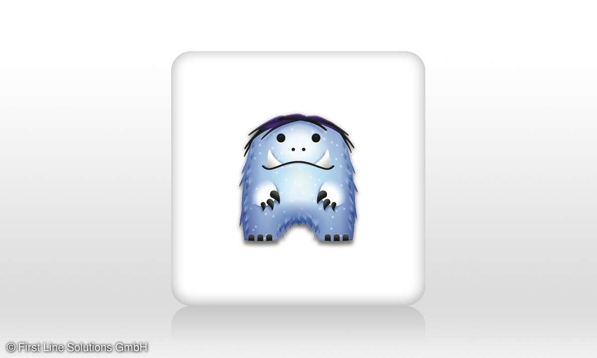 Snowsafe 3.3 First Line Solutions GmbH Winter App
