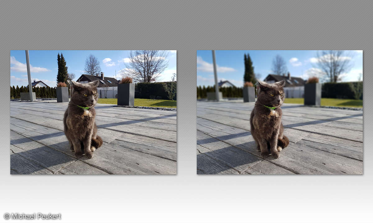 Smartphone-Dual-Kamera: Bokeh