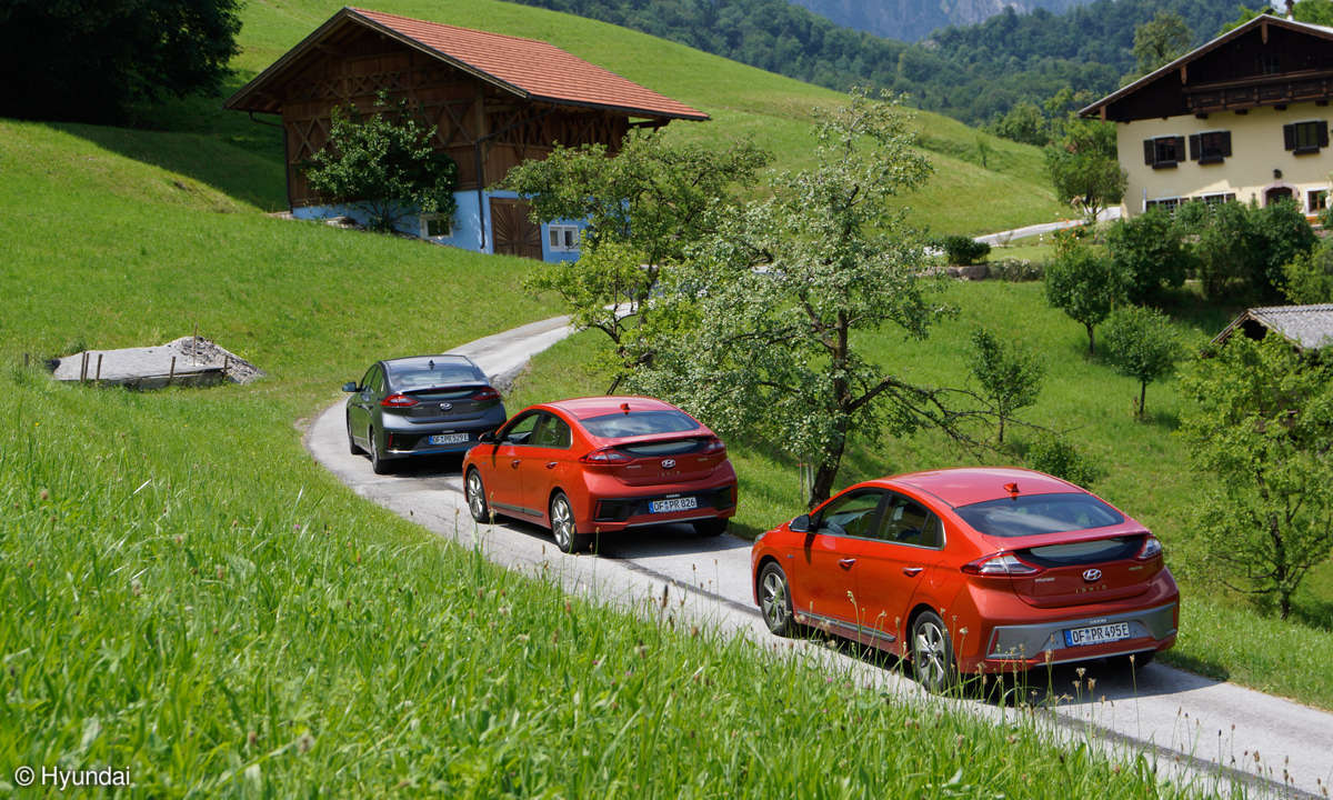 Hyundai Ioniq Rückansicht