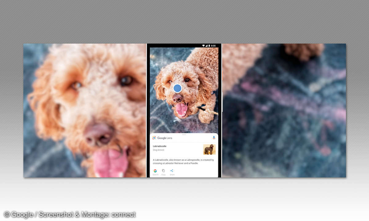 Künstliche Intelligenz - Google Lens