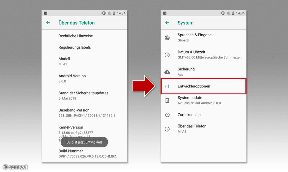 Die Entwickleroptionen finden