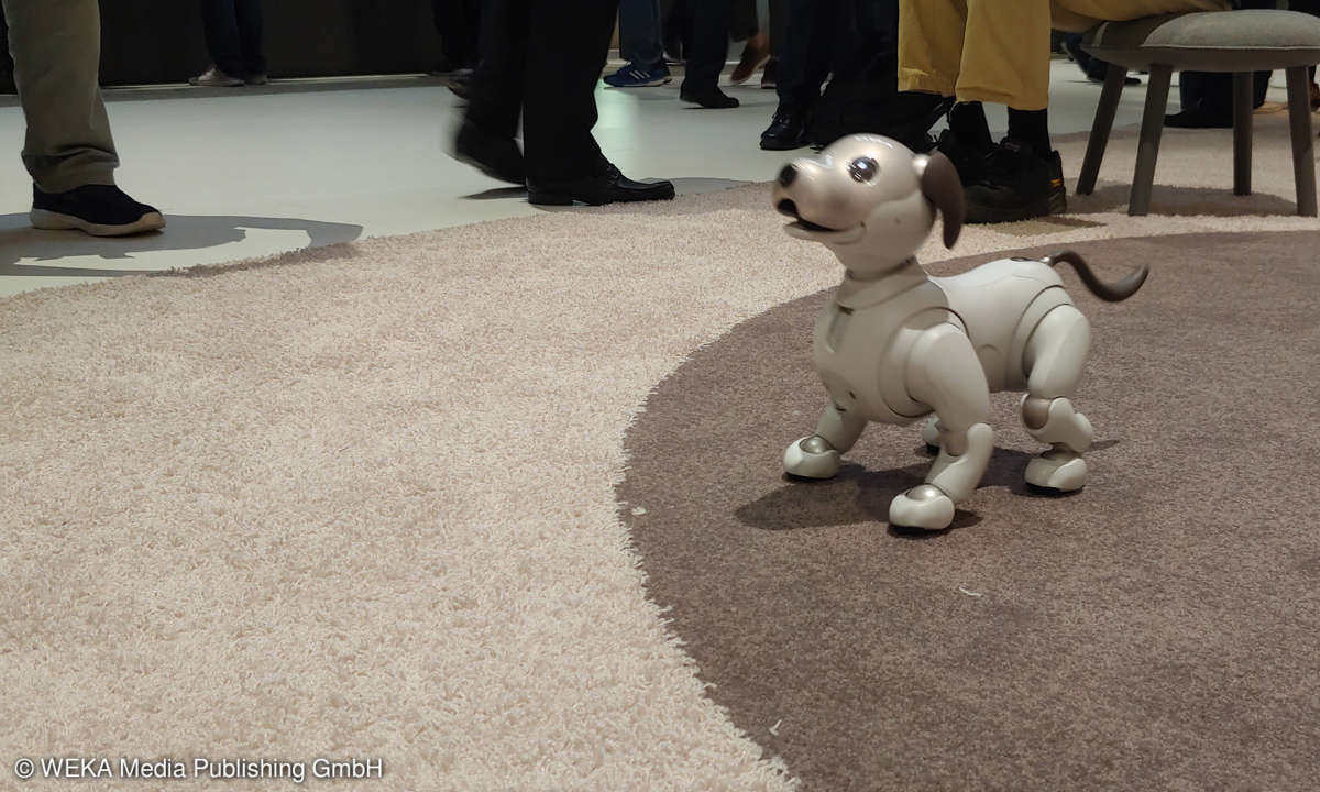 IFA 201