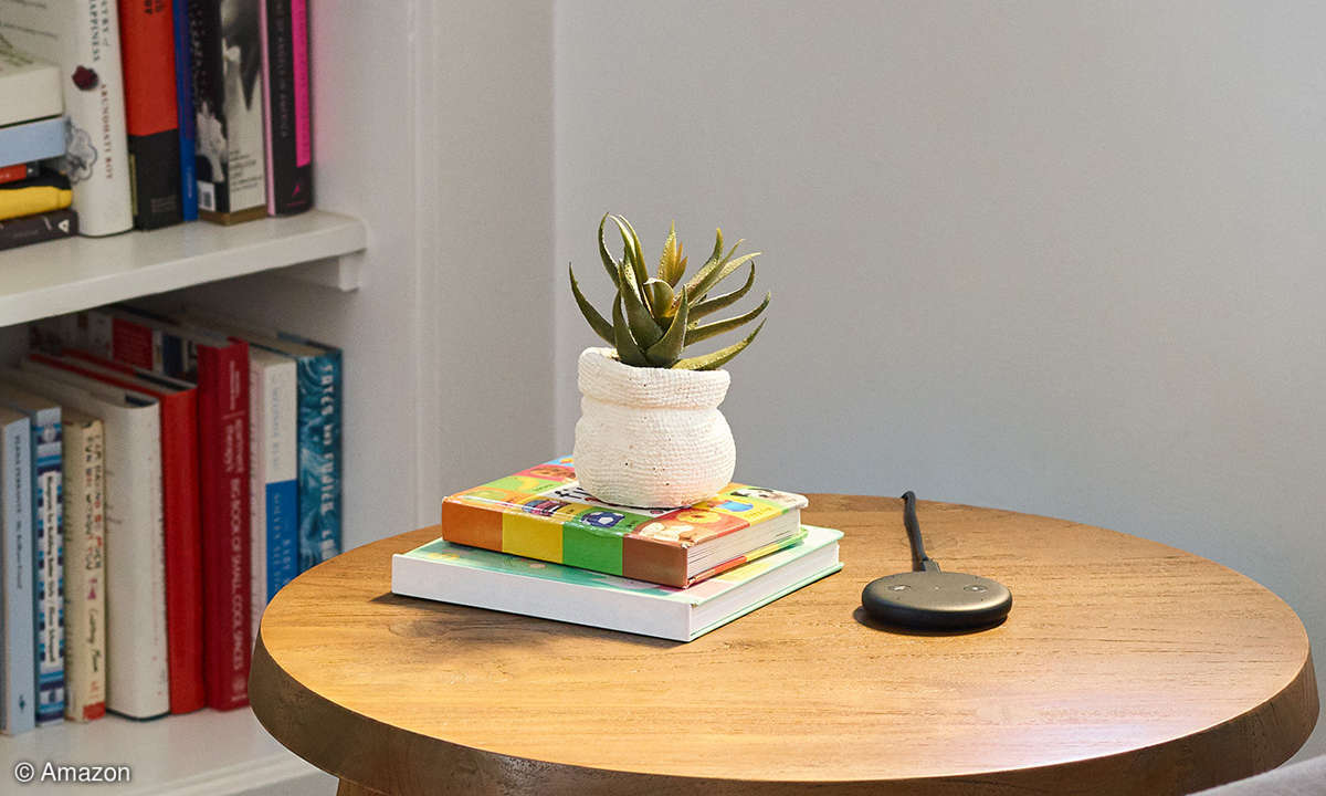 Amazon Echo Input