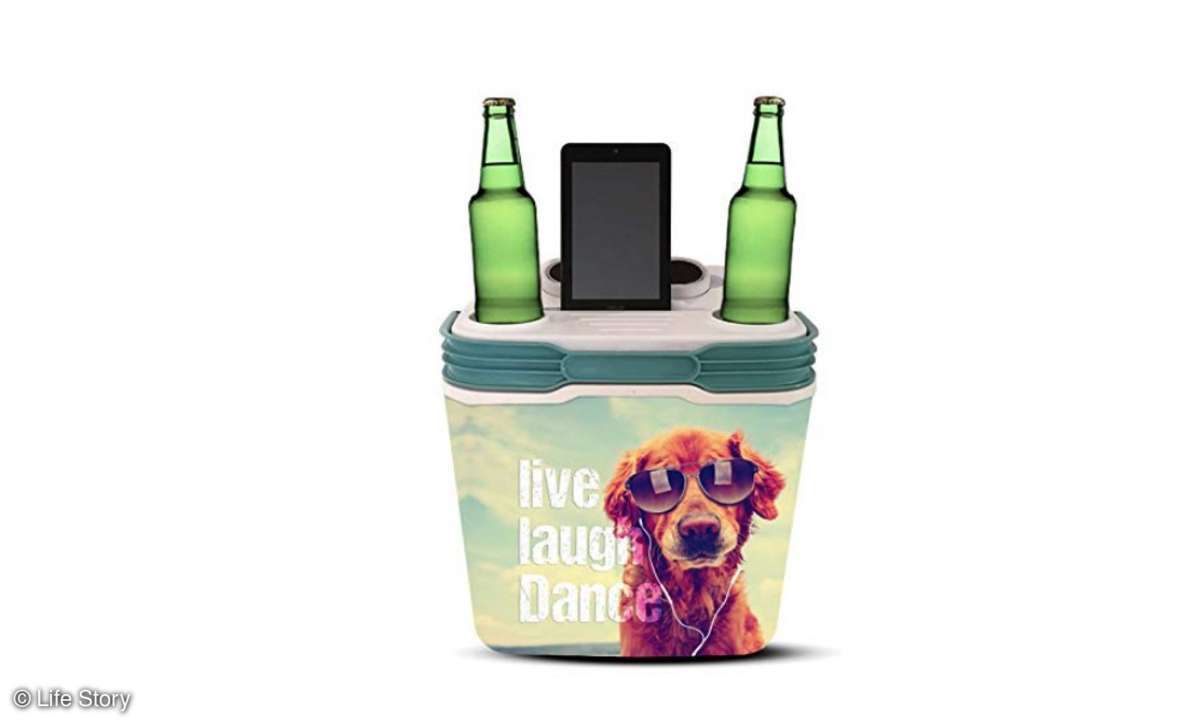 Life Story Speakooler mit BT-Speaker