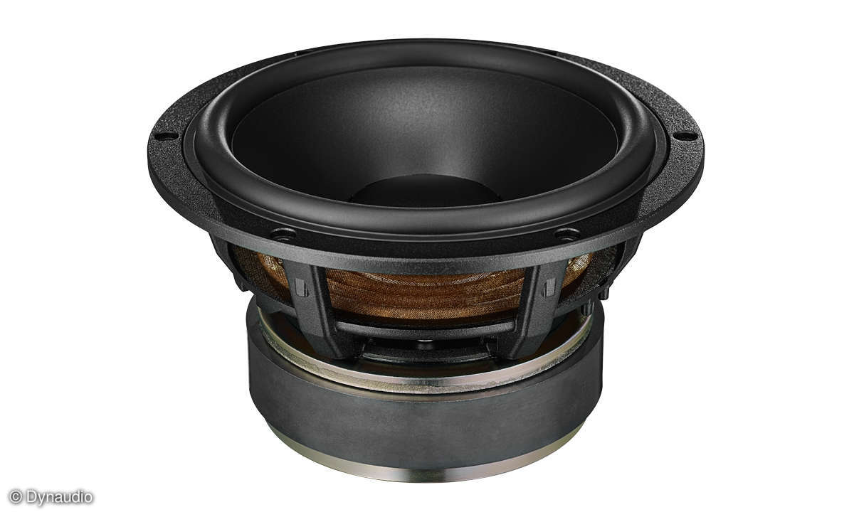 Dynaudio Evoke 20 im Test - Tiefmitteltöner