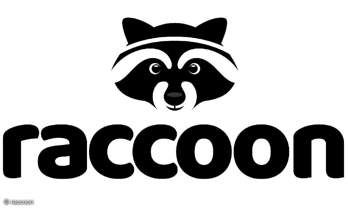 raccoon