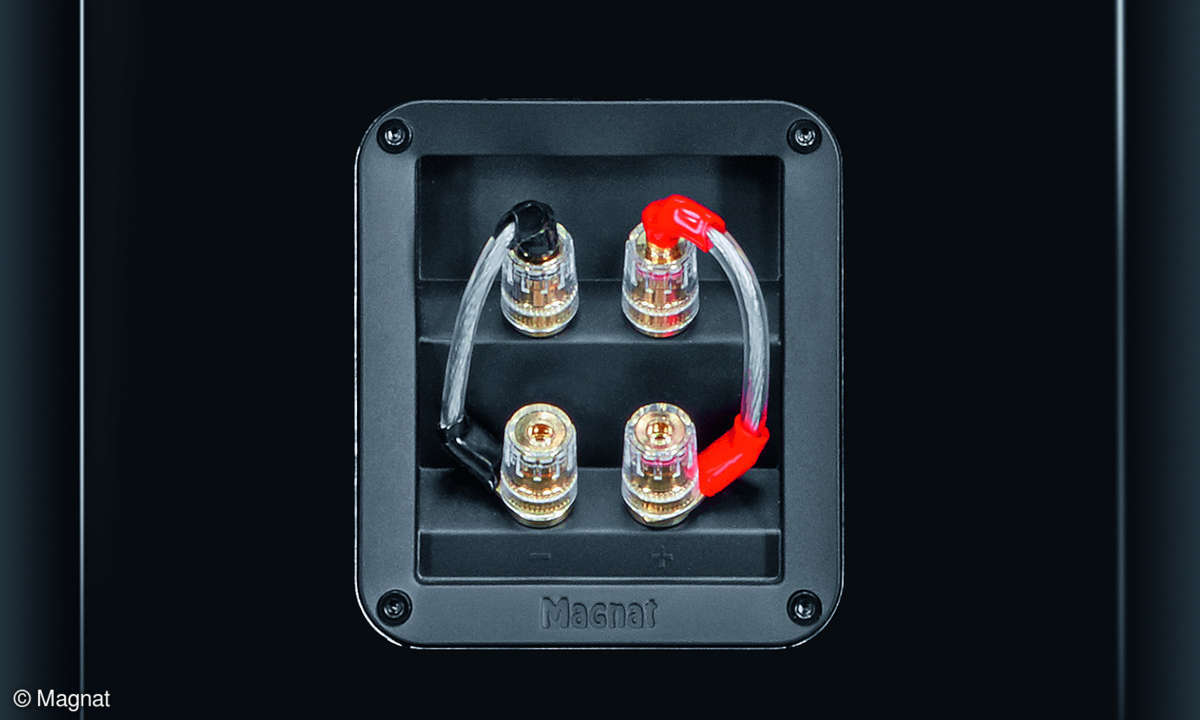 Magnat Signature 909