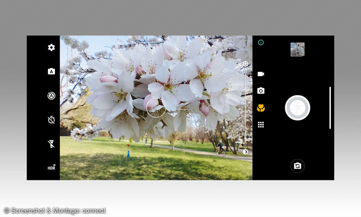 Motorola G8 Power im Test: Makrooptik